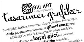 Örnek ilan sayfası; 4